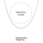 Sparkling Silver Clavicle Necklace